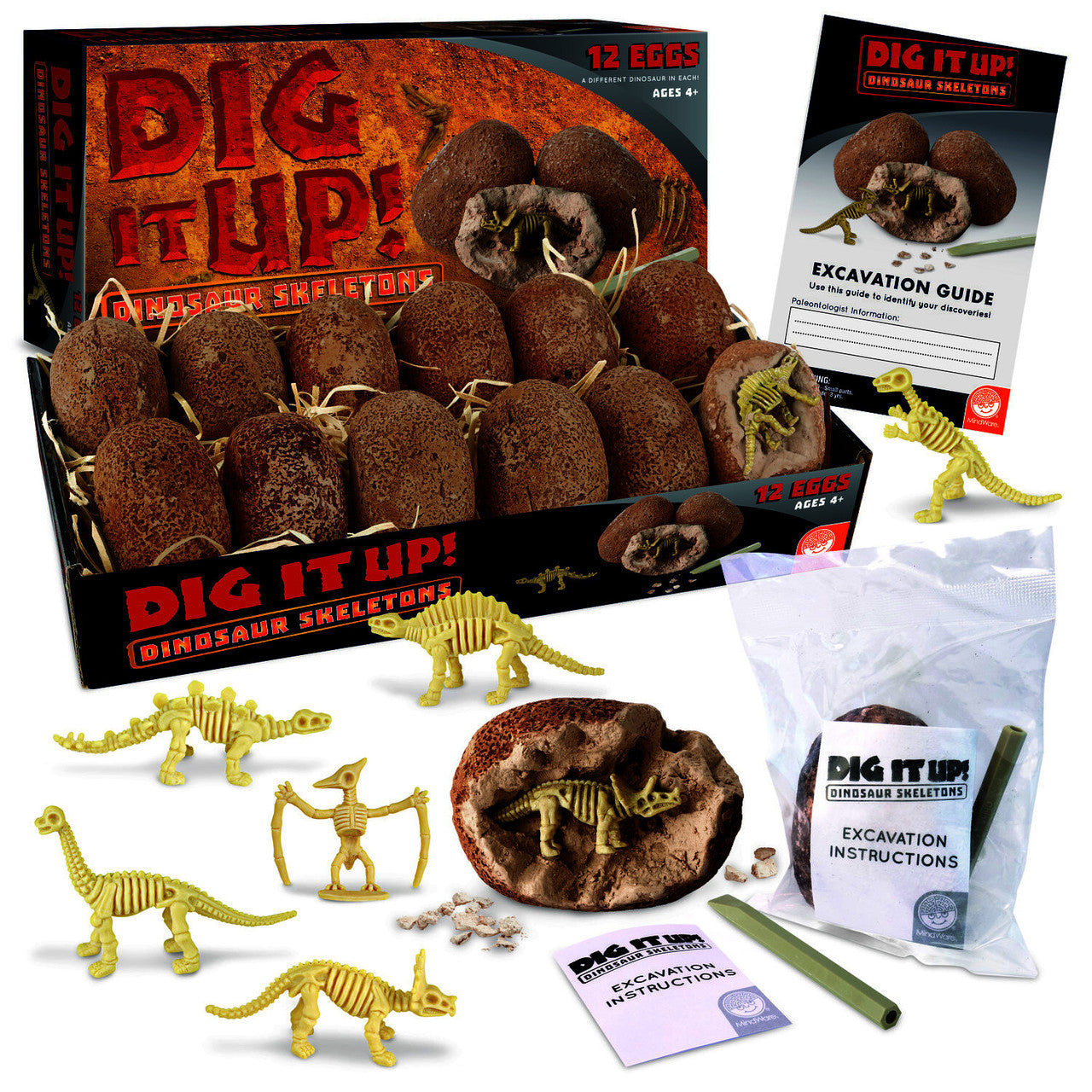 Dig It Up! Dinosaur Skeleton