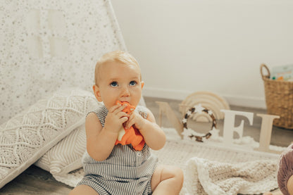 Mizzie The Kangaroo Natural Rubber Teething Toy