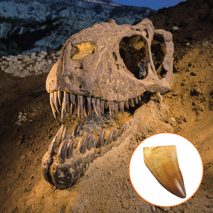 National Geographic - Dinosaur Dig Kit