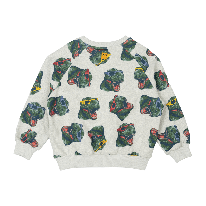 Shady Sweatshirt - Teen