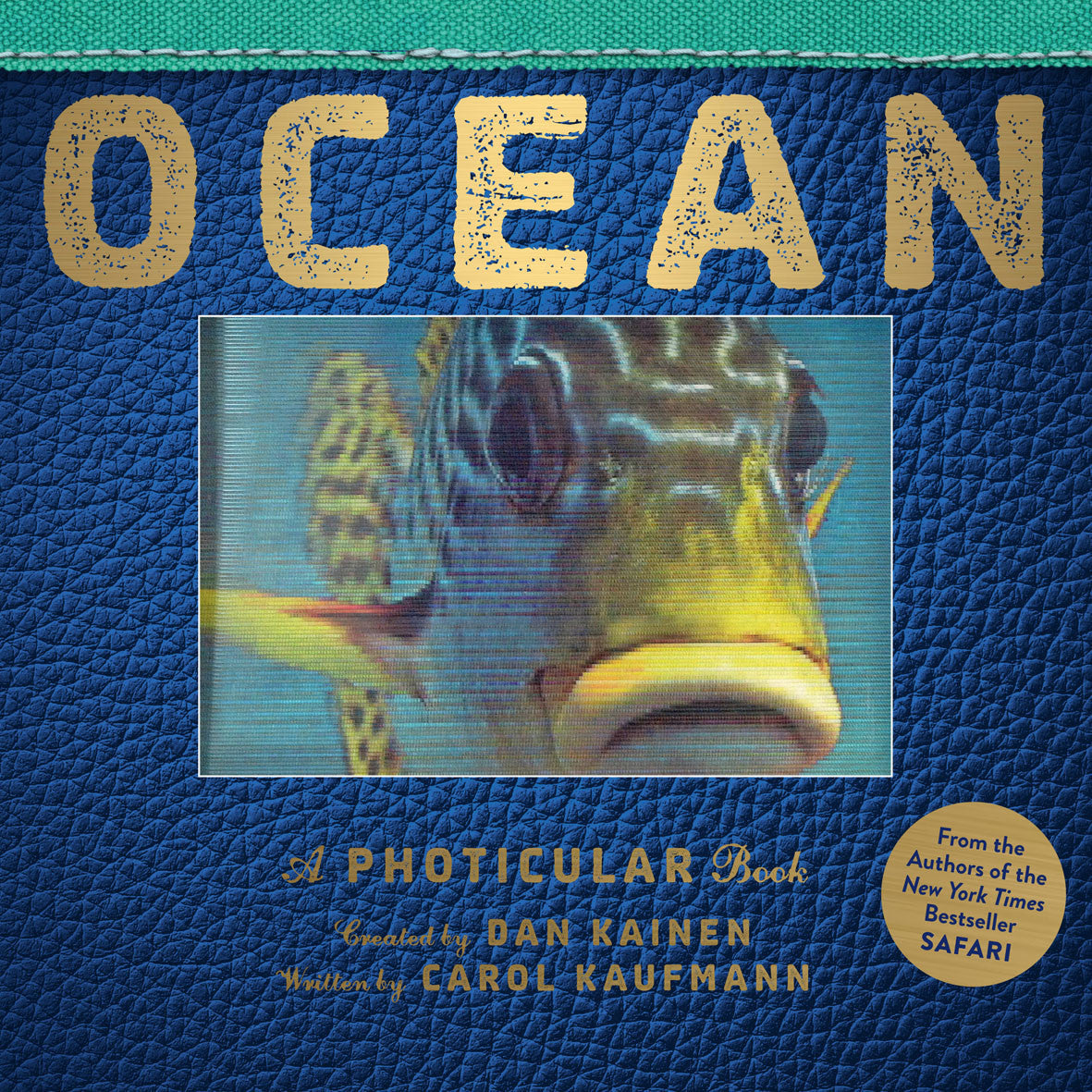 Ocean - A Photicular Book