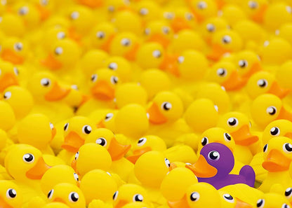 Ravensburger 1000pc - Rubber Ducks Challenge Puzzle