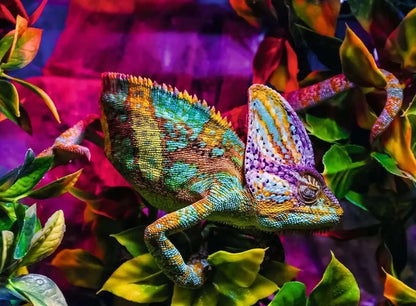 Ravensburger 500pc - Chameleon Puzzle