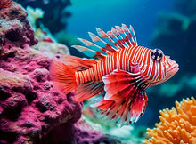 Ravensburger 500pc - Red Lionfish Puzzle