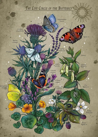 Ravensburger 1000pc - Lifecycle Butterfly