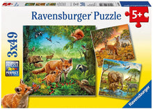 Ravensburger 3x49pc - Animals of the Earth Puzzle