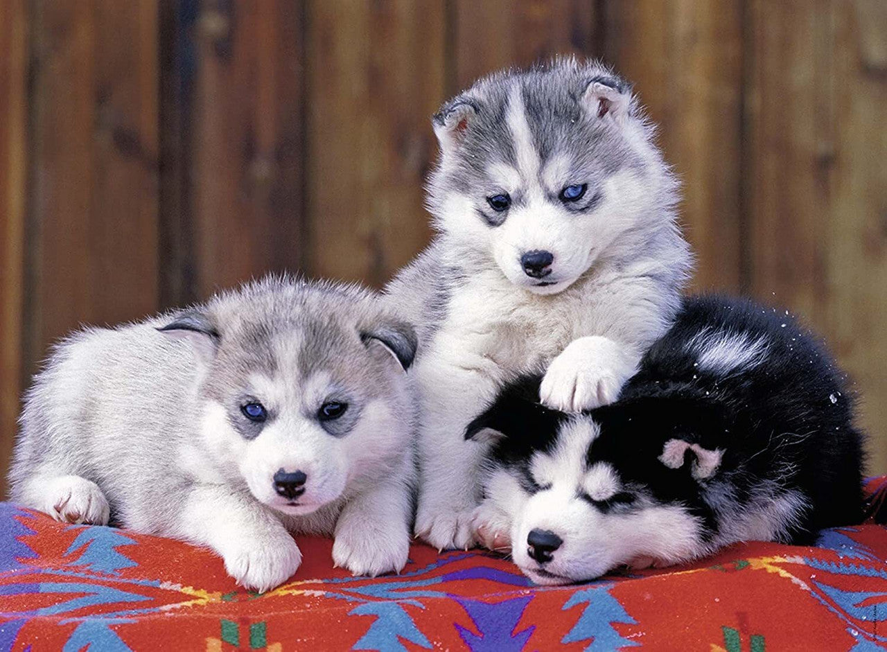 Ravensburger 200pc -  Mignons Huskies Puzzle