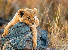 Ravensburger 200pc - Little Lion Puzzle