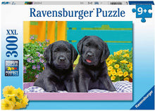Ravensburger 300pc - Puppy Life Puzzle