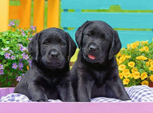 Ravensburger 300pc - Puppy Life Puzzle