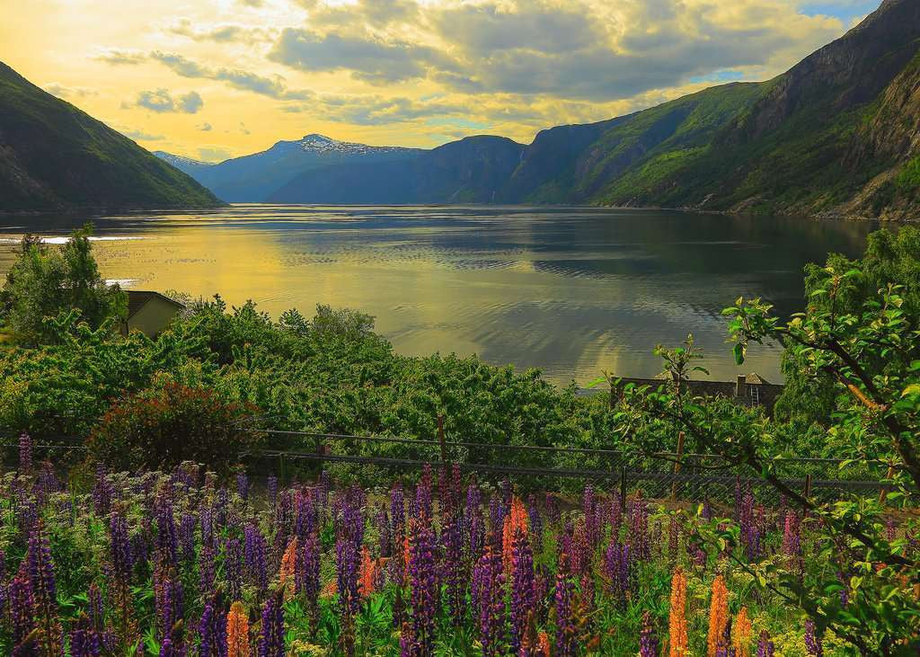 Ravensburger 1000pc - Scandinavian Places -  Fjord in Norway Puzzle