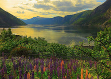 Ravensburger 1000pc - Scandinavian Places -  Fjord in Norway Puzzle