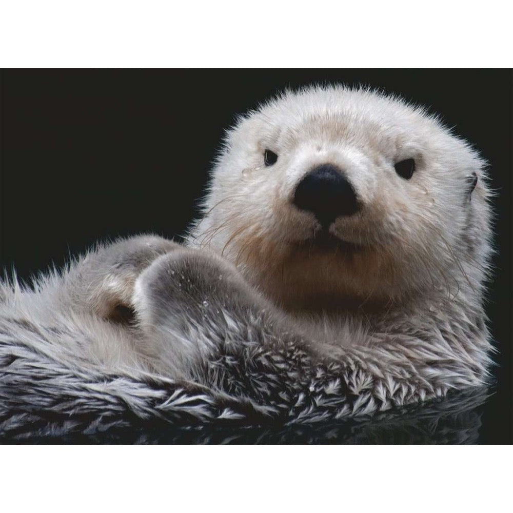 Ravensburger 500pc - Adorable Little Otter Puzzle