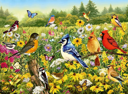Ravensburger 500pc - Birds in the Meadow Puzzle