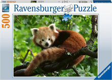 Ravensburger 500pc - Cute Red Panda Puzzle