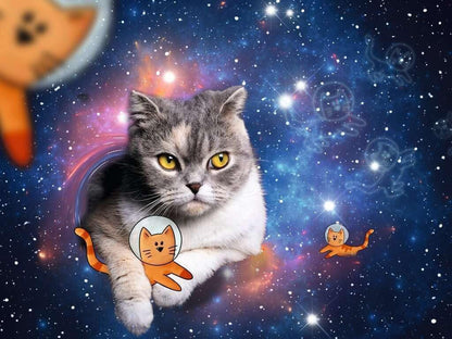 Ravensburger 1500pc - Cats in Space Puzzle