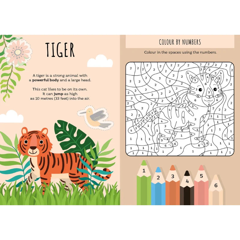 Sassi Stickers & Activities Book The Jungle featuring 24 activity pages with jungle animals, colouring, puzzles and 60 colourful stickers