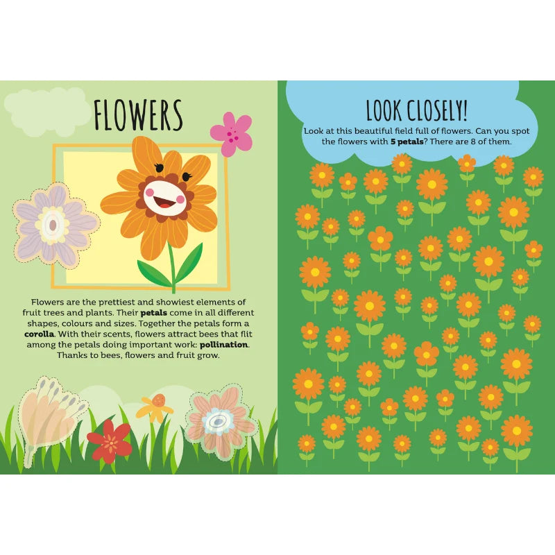Sassi Stickers & Activities Book Nature featuring 24 activity pages with colouring, puzzles, wildlife scenes and 60 colourful stickers