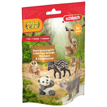 Schleich - Schleich Wild Life Blind Bag 88026