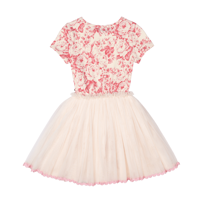 Rock Your Baby - Floral Toile Circus Dress