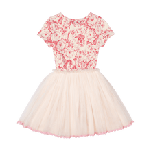 Rock Your Baby - Floral Toile Circus Dress