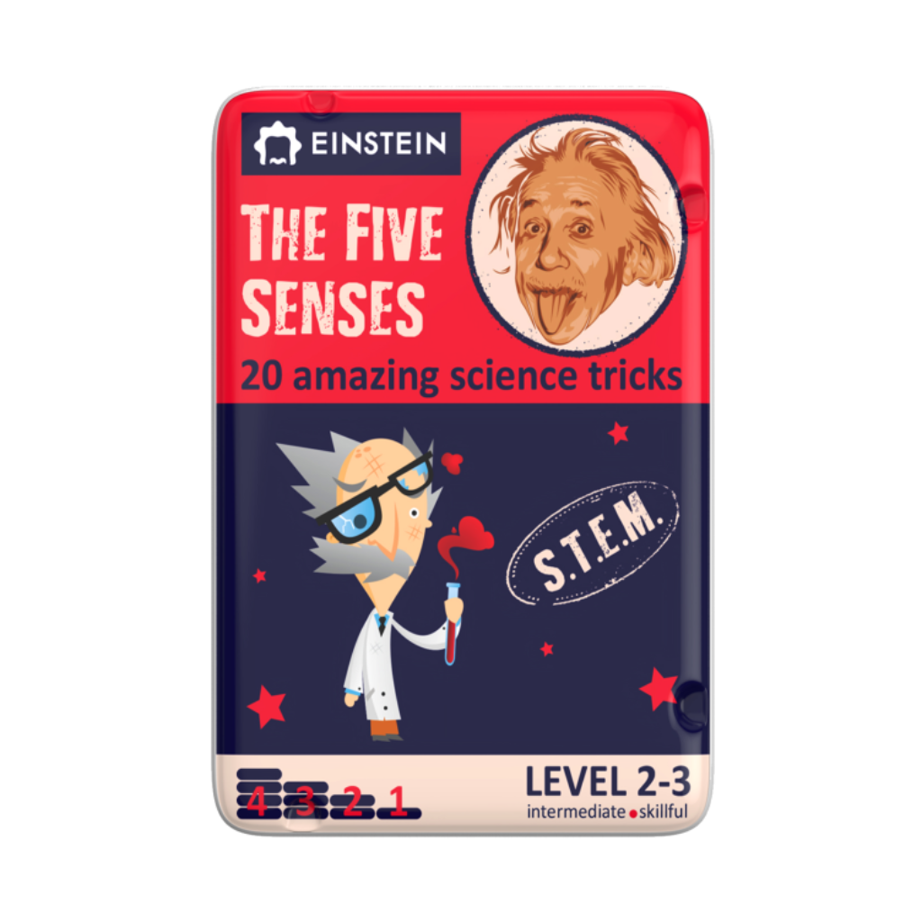 Educational book cover titled 'The Five Senses' with cartoon characters on a white background