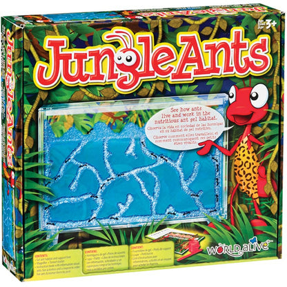 Jungle Ants