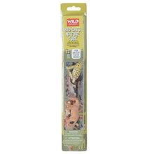 Wild Republic - Nature Tube - Big Cats