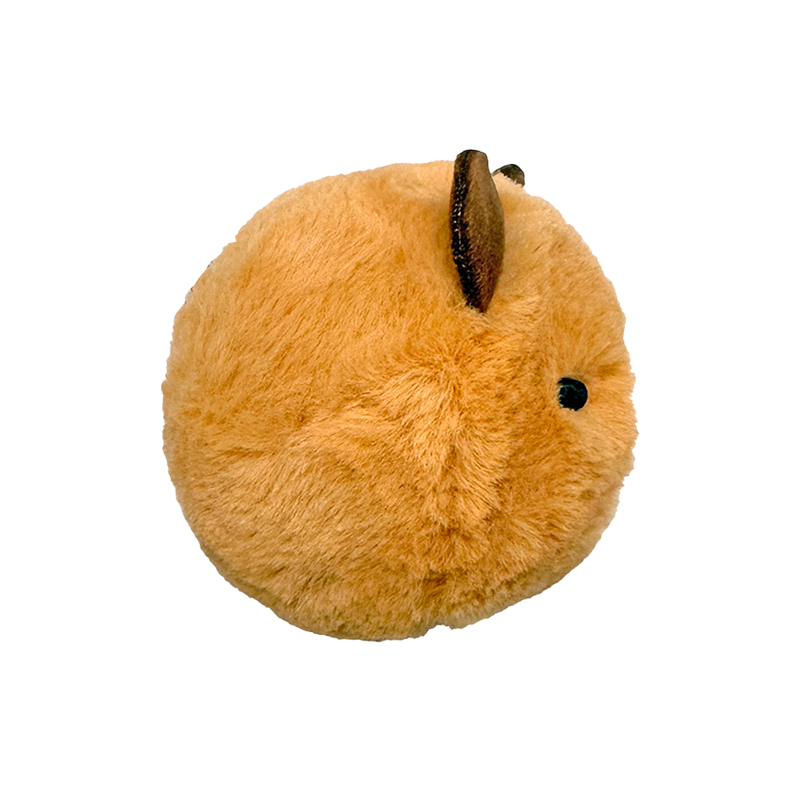Barry the Capybara 10cm Ty plush with the red Ty Heart swing tag attached, on a plain white background