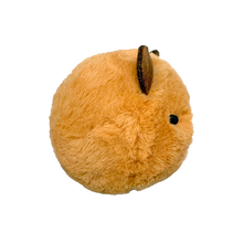 Barry the Capybara 10cm Ty plush with the red Ty Heart swing tag attached, on a plain white background