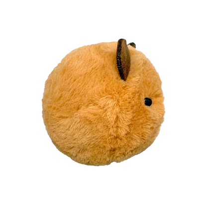 Barry the Capybara 10cm Ty plush with the red Ty Heart swing tag attached, on a plain white background
