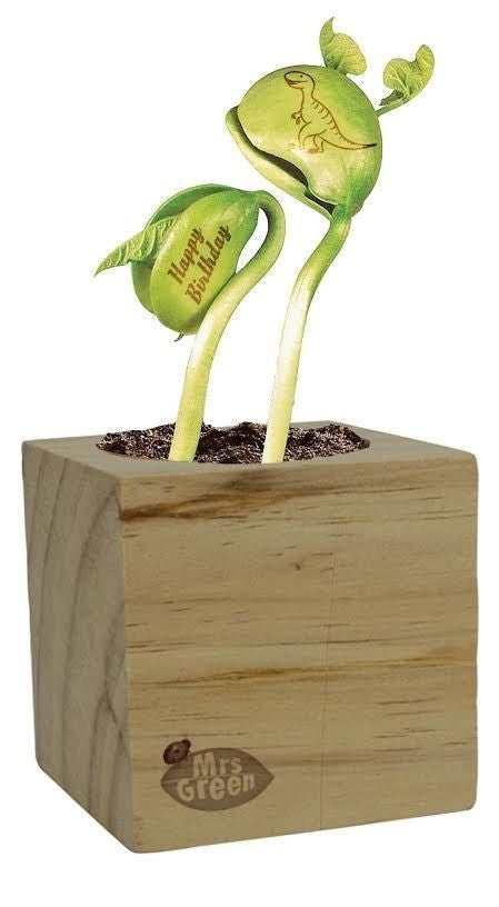 Mrs Green - Magic Beans