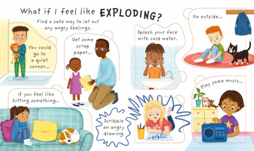 Usborne- Lift-The-Flap Very First Questions And Answers: Why do I (sometimes) feel angry?
