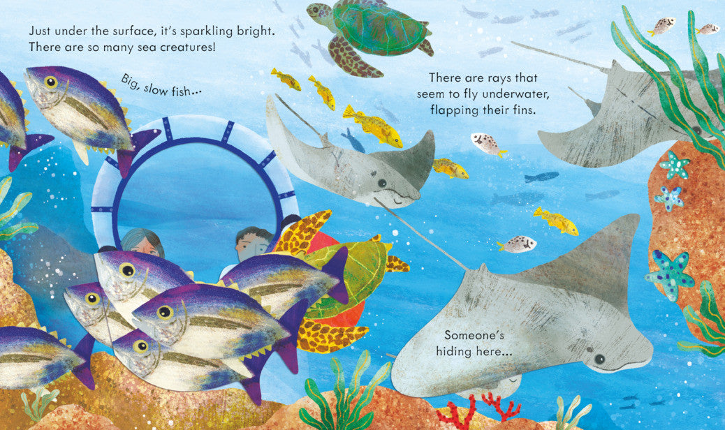 Usborne - Peep Inside the Ocean