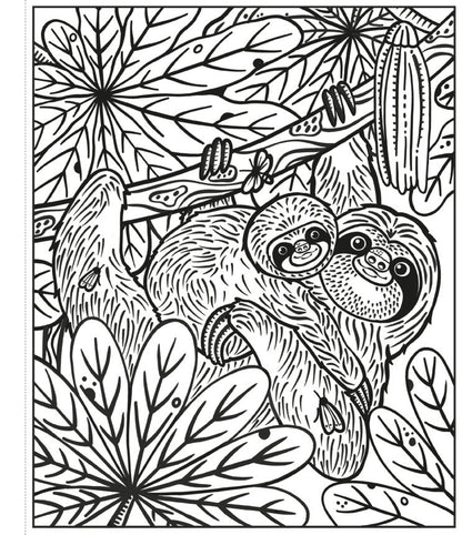Usborne - Rainforest Magic Painting Book