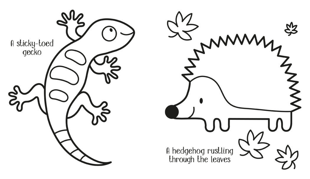 Usborne - My Big Animal Colouring Book