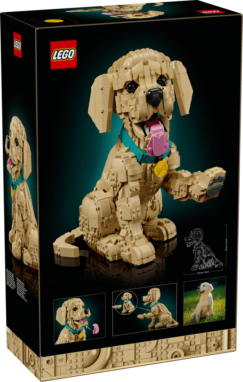LEGO® ICONS - Golden Retriever Puppy 11384