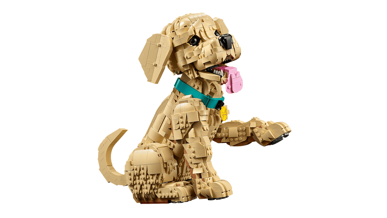 LEGO® ICONS - Golden Retriever Puppy 11384