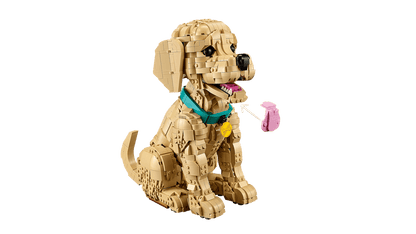 LEGO® ICONS - Golden Retriever Puppy 11384