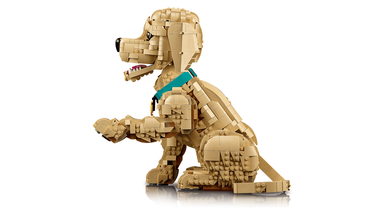 LEGO® ICONS - Golden Retriever Puppy 11384