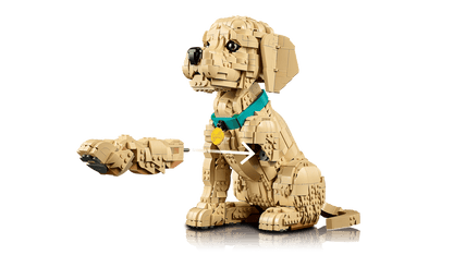 LEGO® ICONS - Golden Retriever Puppy 11384