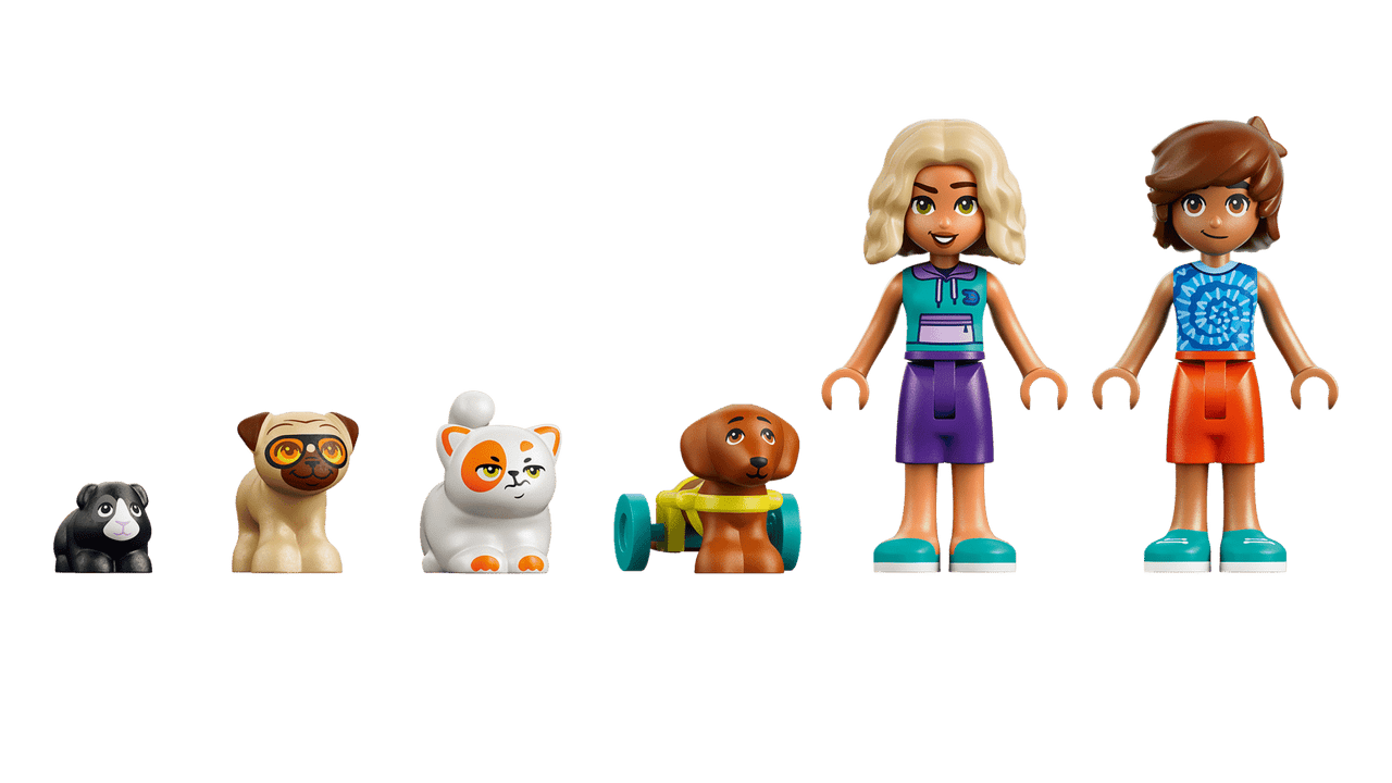 LEGO® Friends - Fun Water Park Day 42676