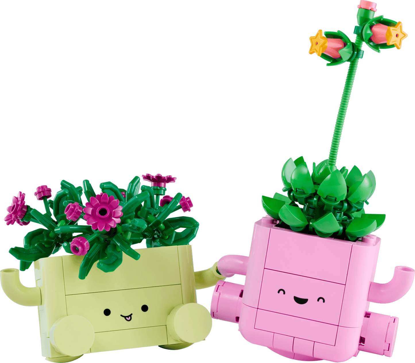 LEGO Botanicals - Rocking Plants 11506 product image 2