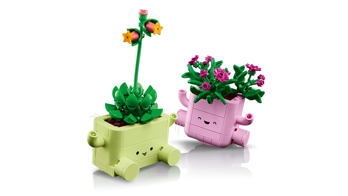 LEGO Botanicals - Rocking Plants 11506 product image 6