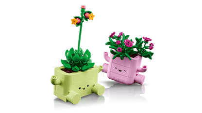 LEGO Botanicals - Rocking Plants 11506 product image 6