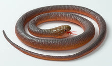 Wild Republic - Rubber Snake - Copperhead Snake 116cm