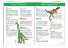 Djeco Dinosaurs 100pc Observation Puzzle