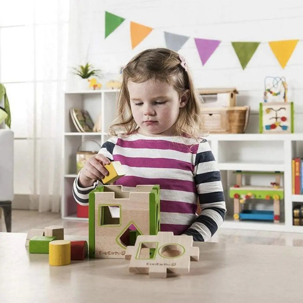 Everearth - Shape Sorter Box