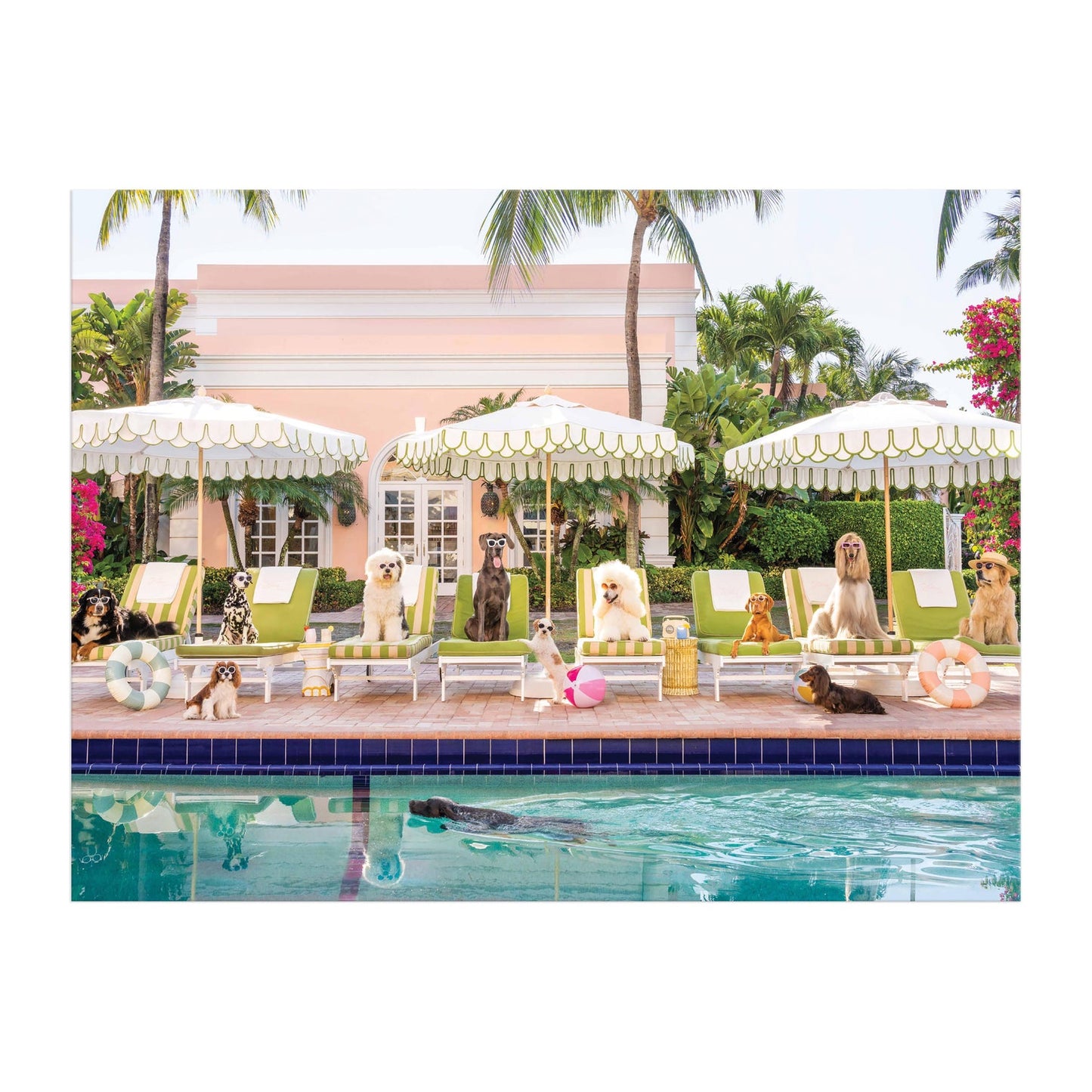 Galison 1000pc - Gray Malin Palm Beach Pool Day Puzzle