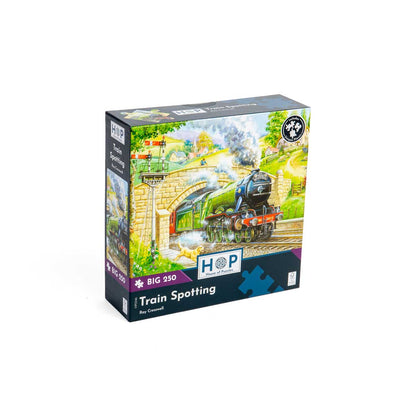 House of Puzzles Big 250pc - Train Spotting Puzzle